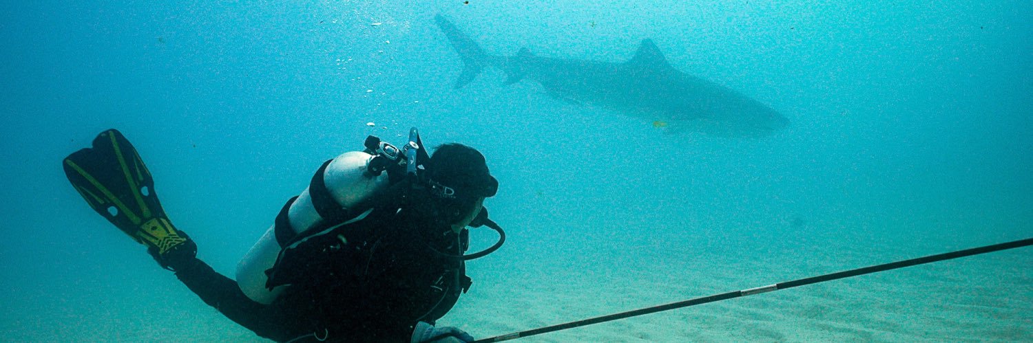 Shark Conservation Lab banner