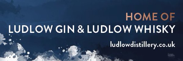 ludlowdrygin Profile Banner