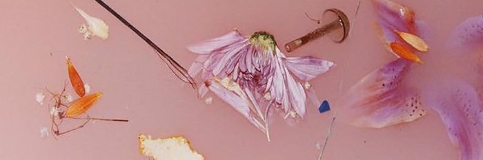ashleysteffes_'s profile banner image