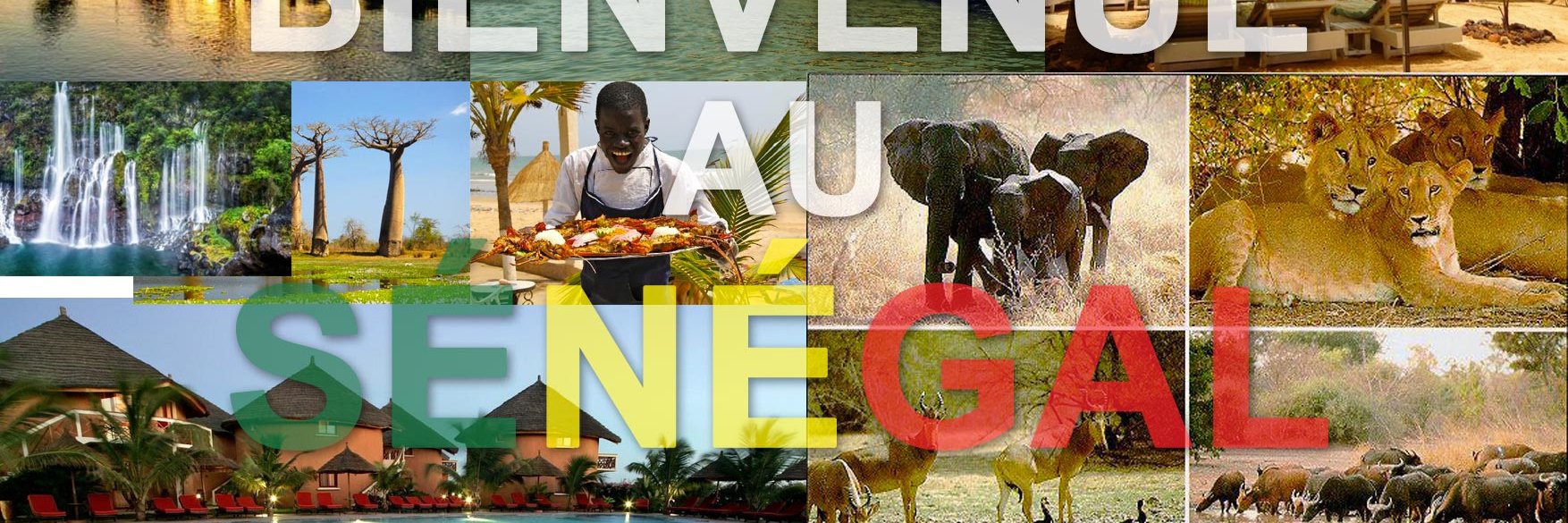Ministère du Tourisme du Sénégal banner