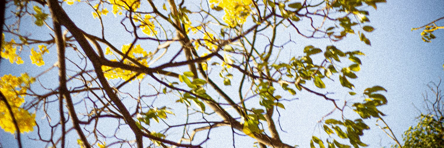 Diego_Pompas's profile banner image