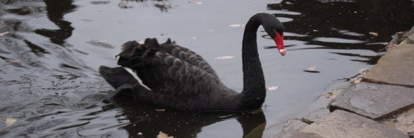 TechVVV Profile Banner