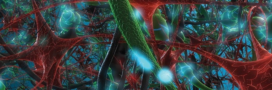 Dennis Meredith banner