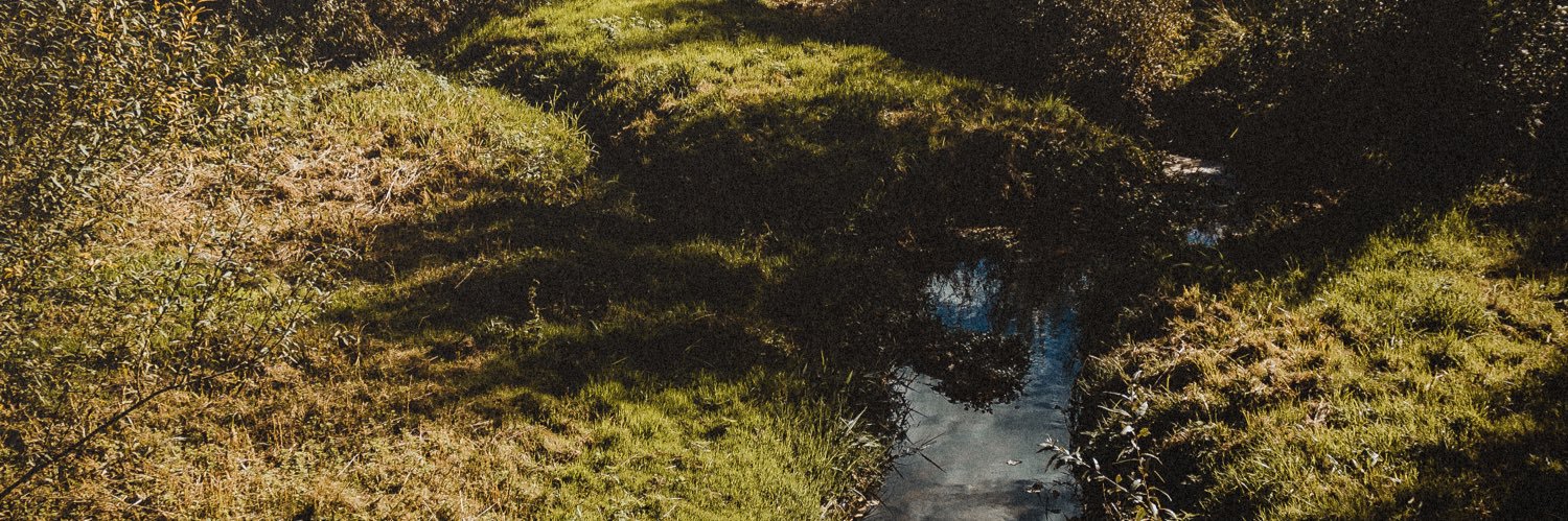 itsyales's profile banner image