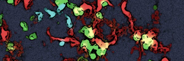 SMuellerLab Profile Banner
