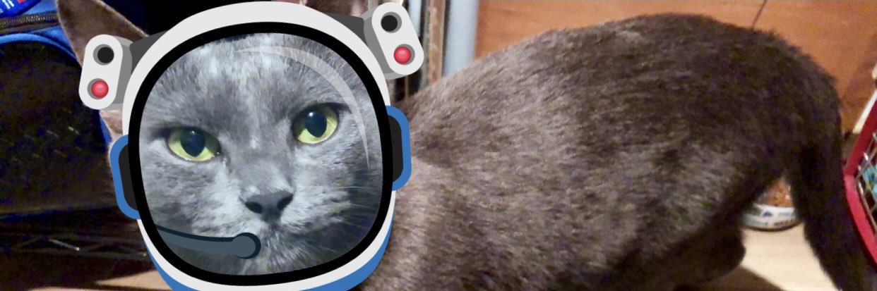 TruthSeekerZach's profile banner image