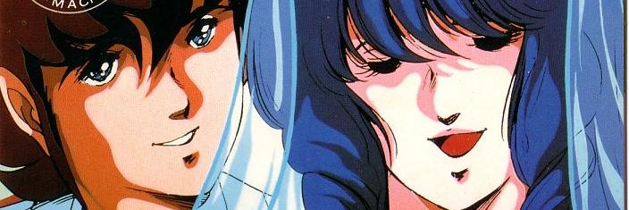 VF-1J's banner