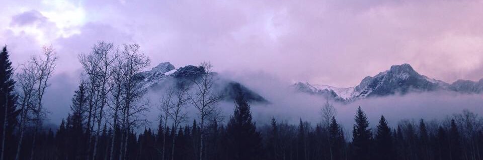 caritostep's profile banner image
