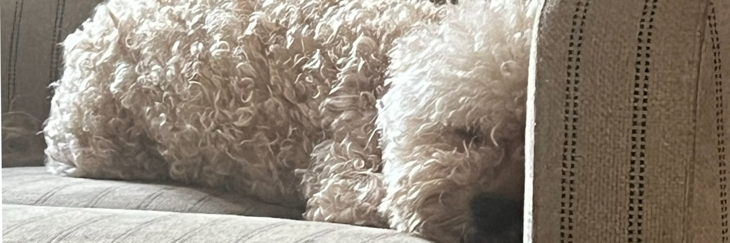 CuhGod's profile banner image