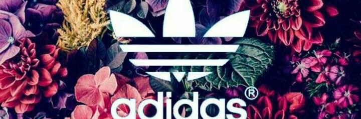 Sunny banner