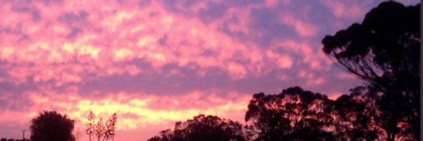 CowenAngelene Profile Banner