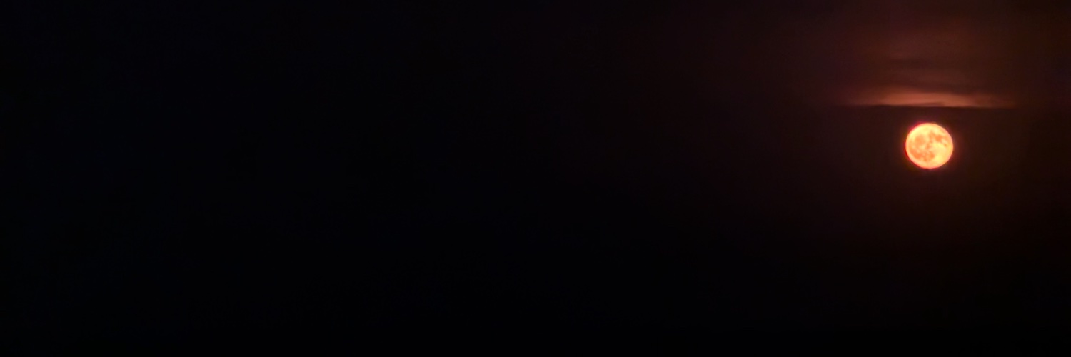 javituda's profile banner image