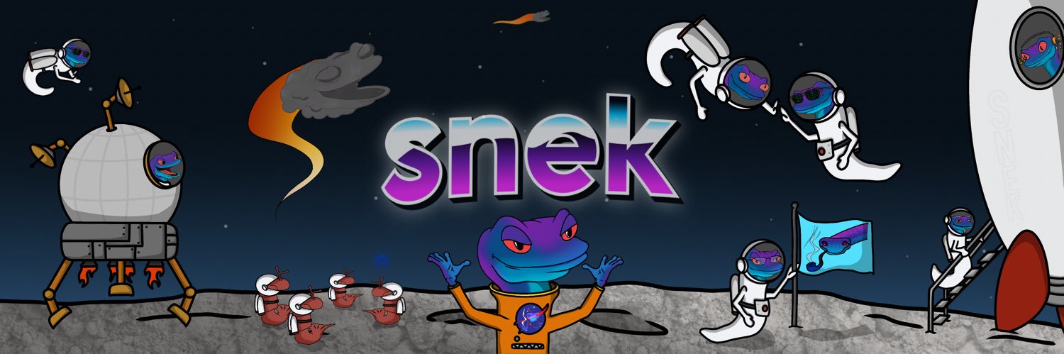 RZ11 🐍💨's banner