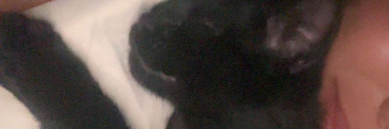 akyabn's profile banner image