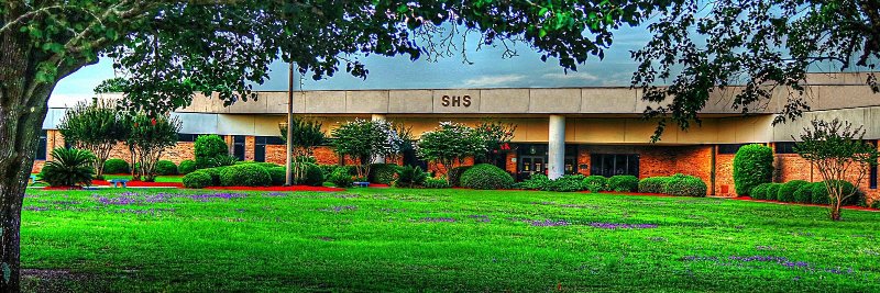 MrsMoyesClass's profile banner image