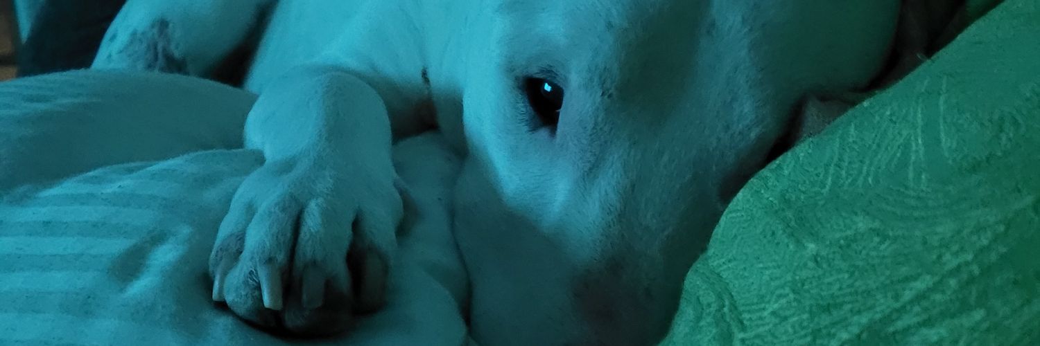 Roche0121's profile banner image