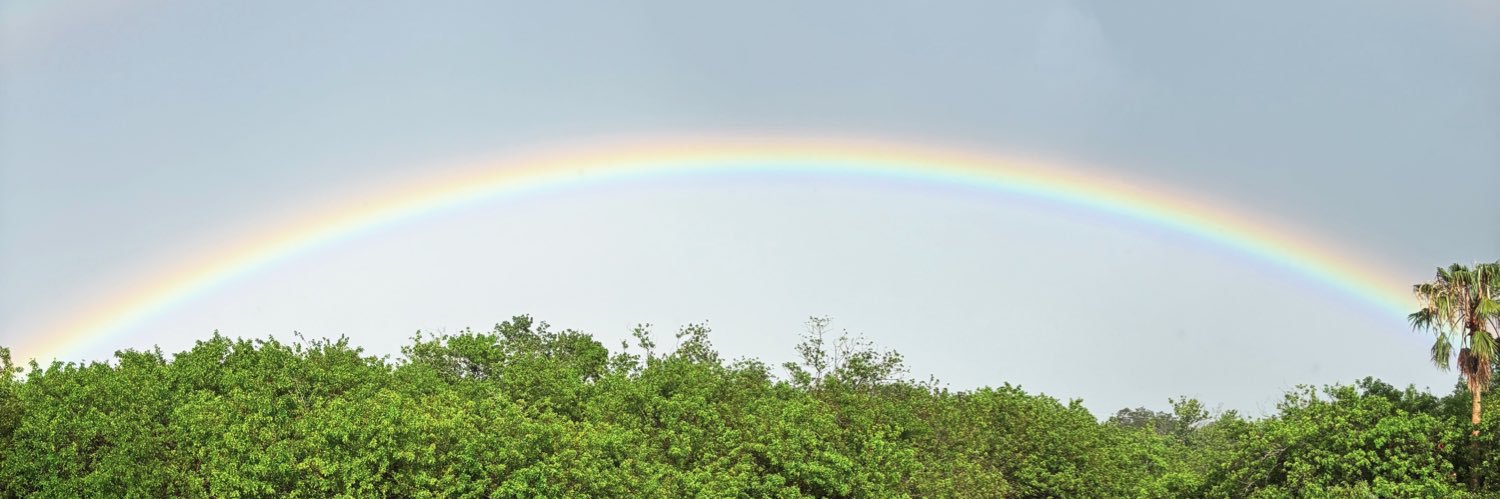 Emily Wunderlich banner