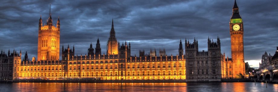 FBI (United Kingdom) banner