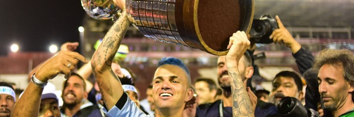 gmeneguzoo's profile banner image
