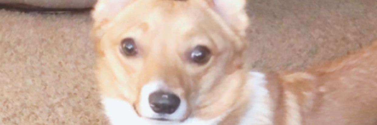 hazeley_'s profile banner image