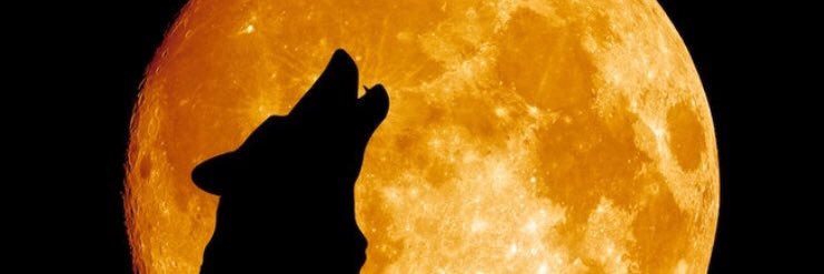 EL_librooos's profile banner image