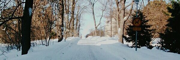 Gmz__7's profile banner image