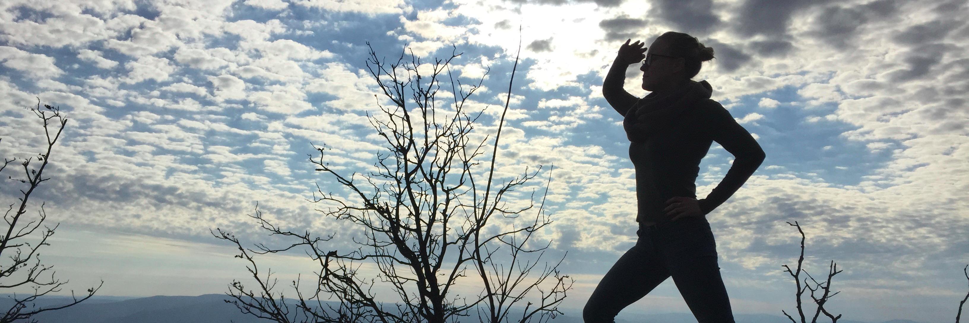 Kelly O'Sullivan banner