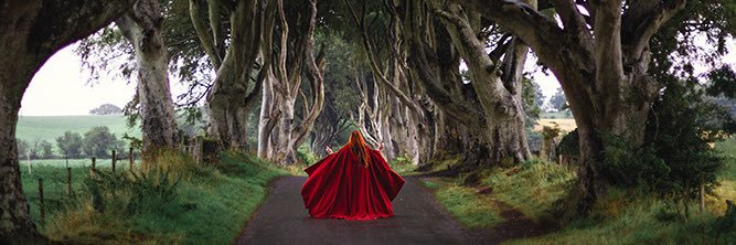 Alassie's profile banner image