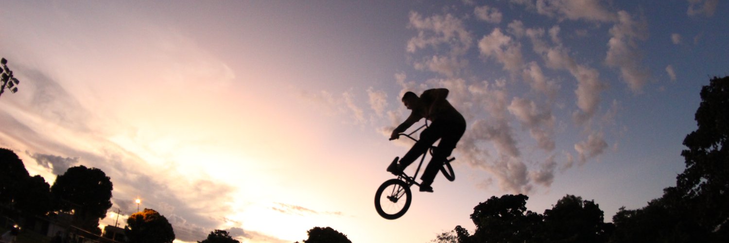Ronaldin da bmx banner
