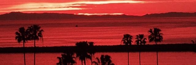 MelMaher1's profile banner image