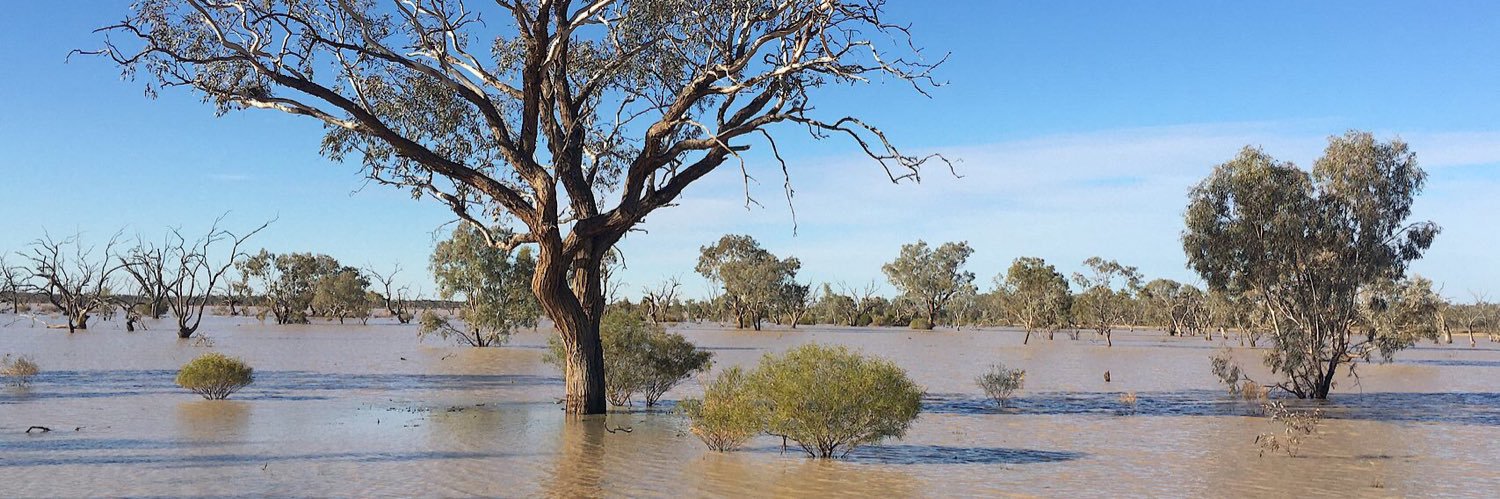 UNSW Biological, Earth and Environmental Sciences banner
