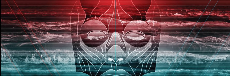 RIBO banner