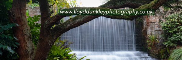 dunkleybent Profile Banner