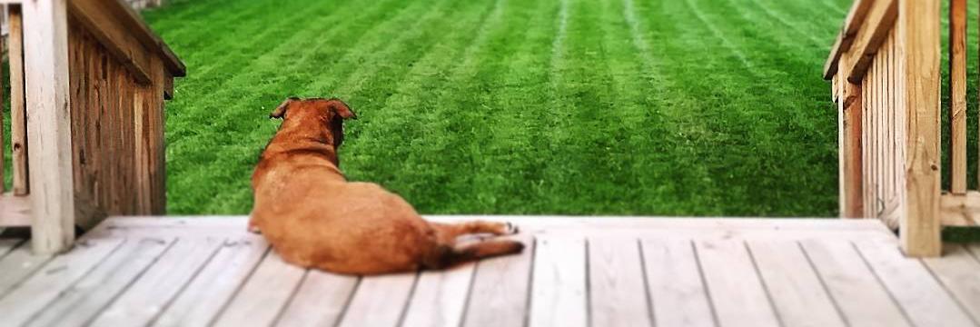 Brian Retterer banner