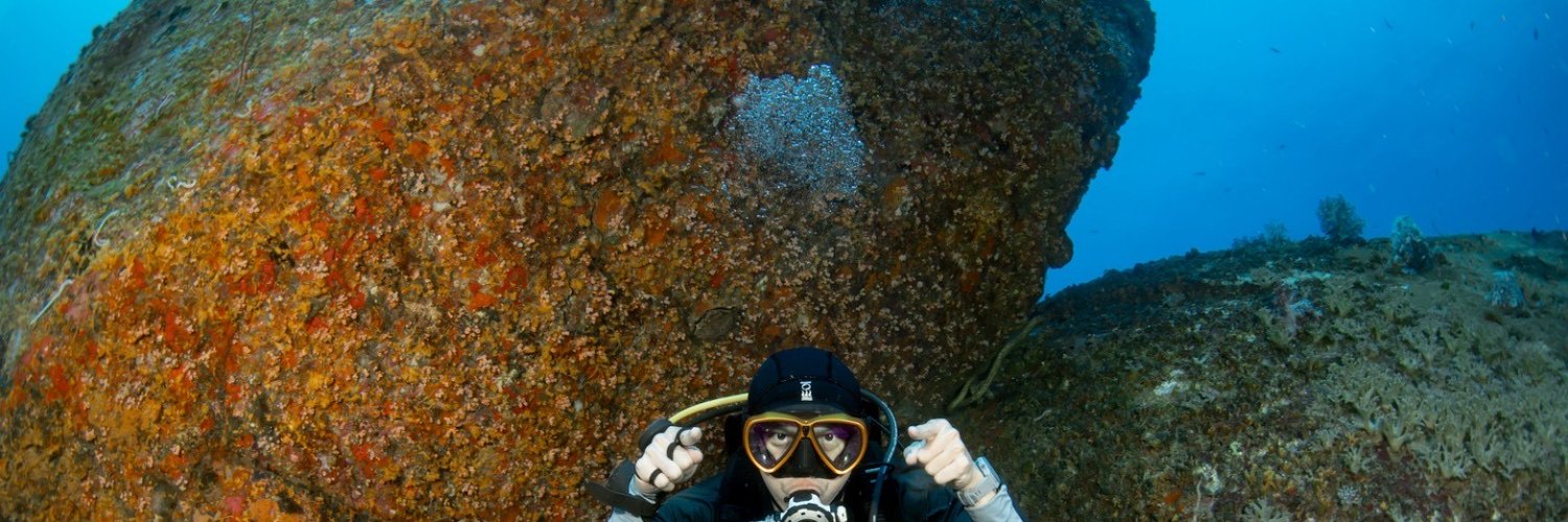 oleac π² (❖,❖) banner