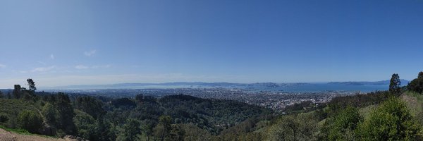 ArtificeFox Profile Banner