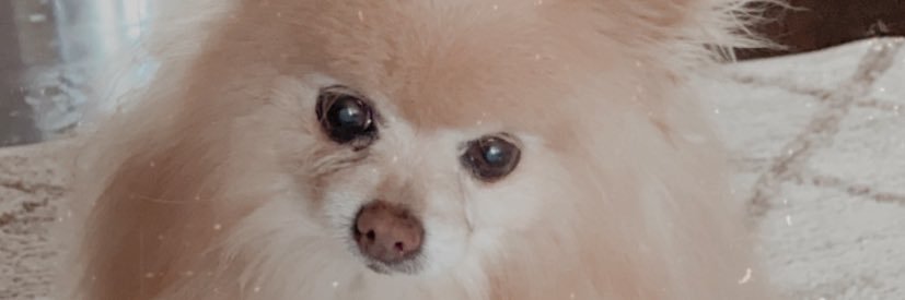 Gabriolip's profile banner image