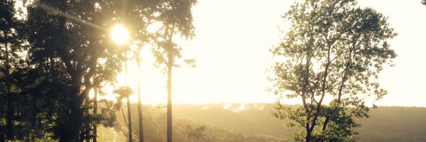 ChristianS4P Profile Banner