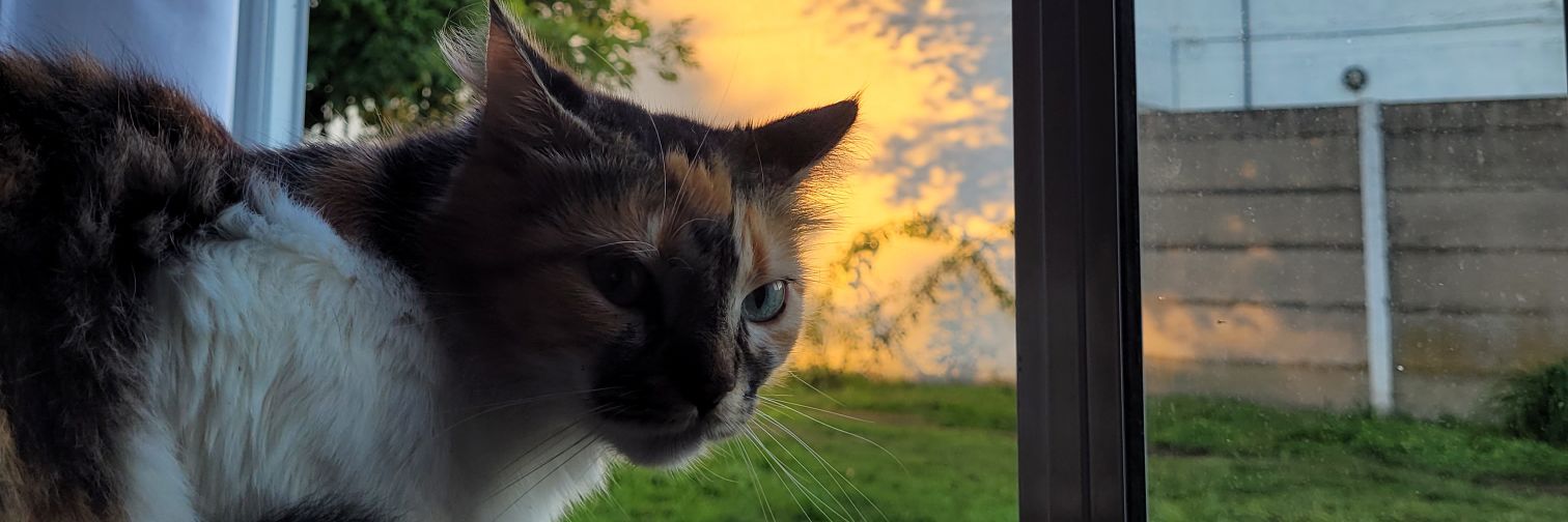 malenarossi_'s profile banner image