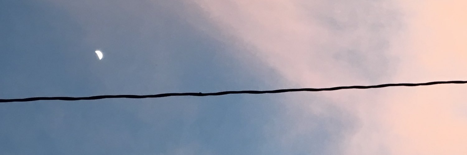 LisaEischeid's profile banner image