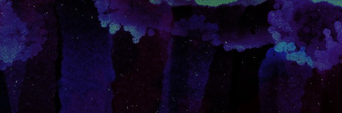 bones mcgee's banner
