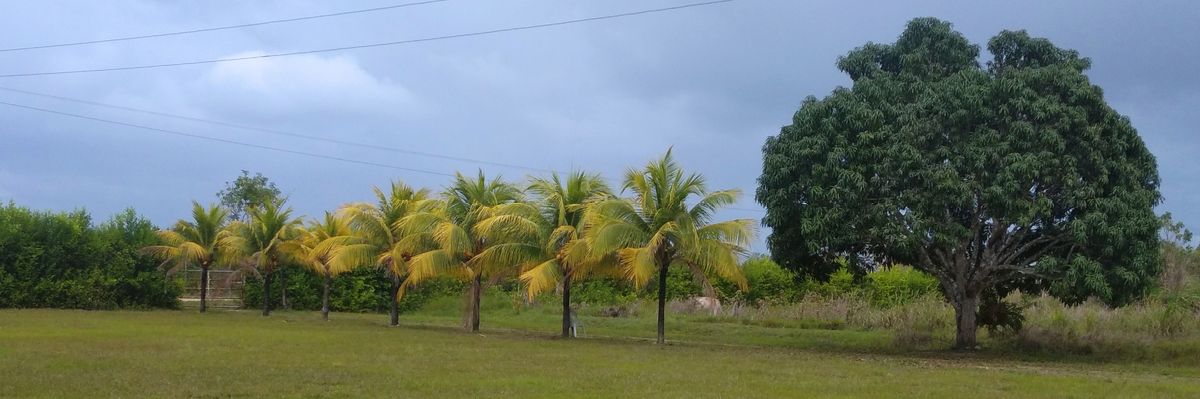 SANTIAGOJCG's profile banner image