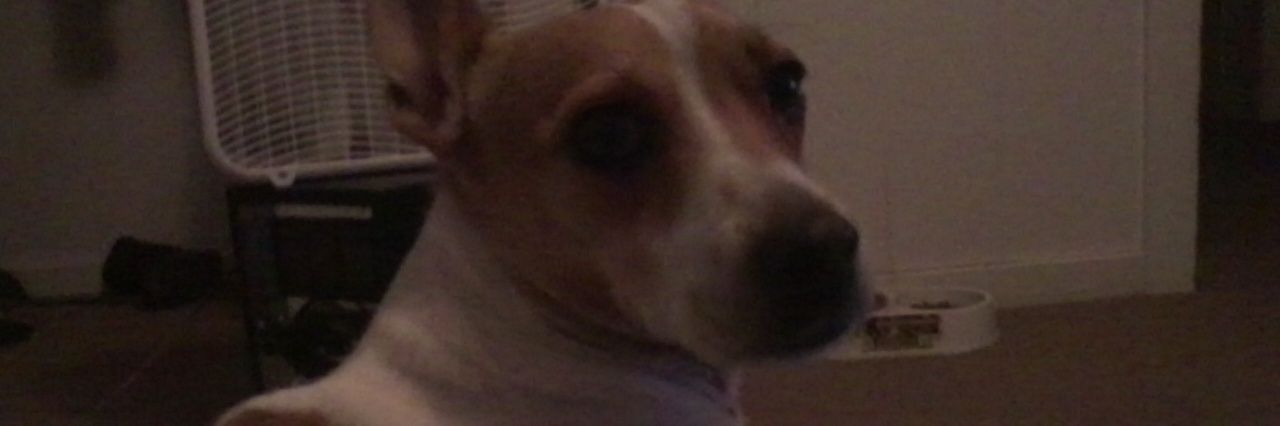 juliemps's profile banner image