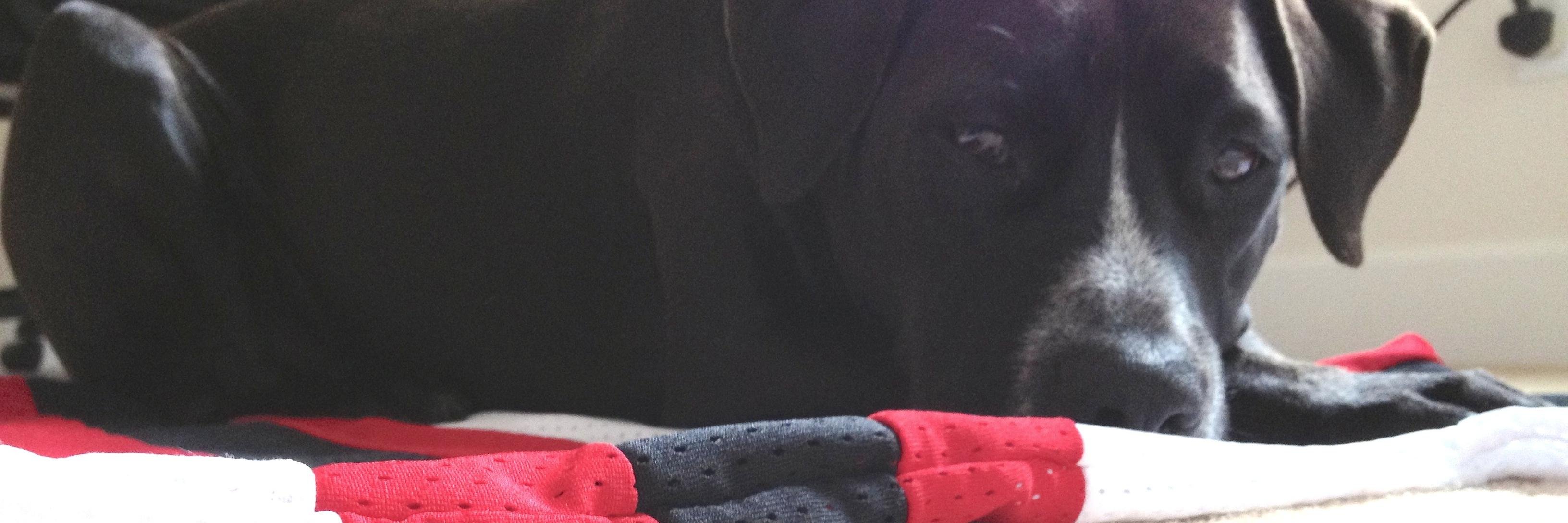 HeloLipko's profile banner image