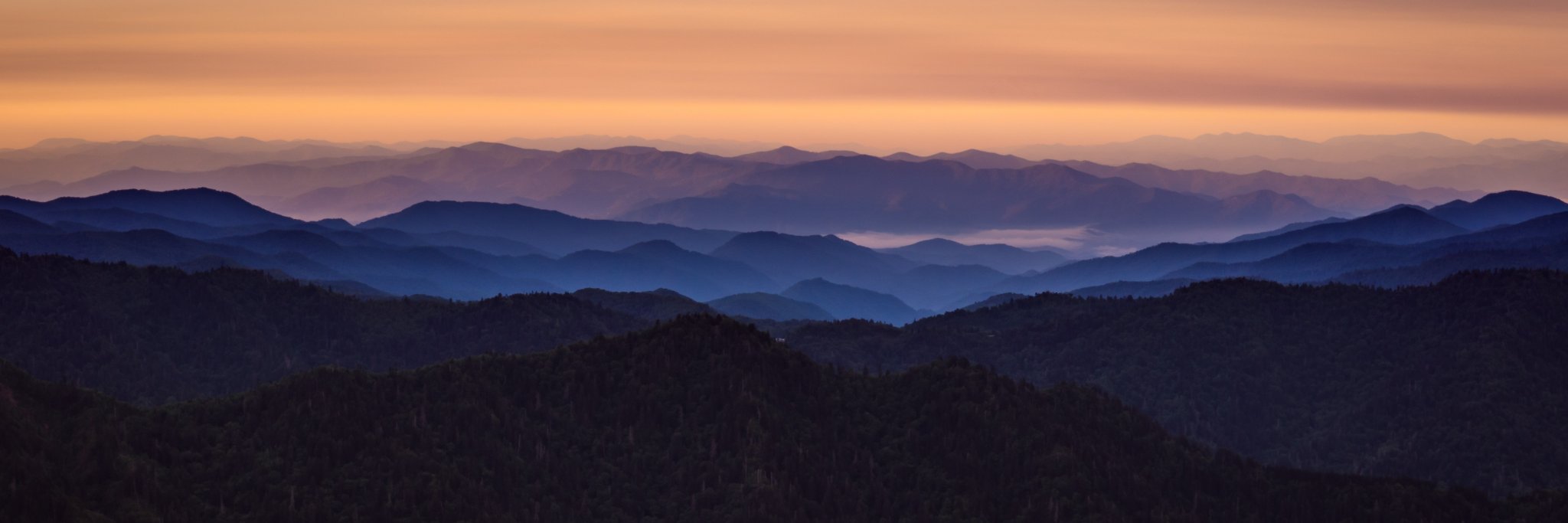 ParaVisie's profile banner image