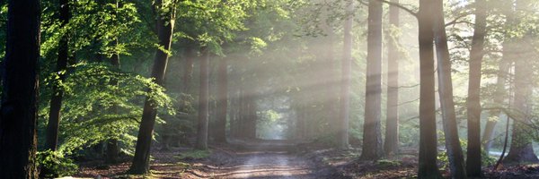 KennethVail3 Profile Banner