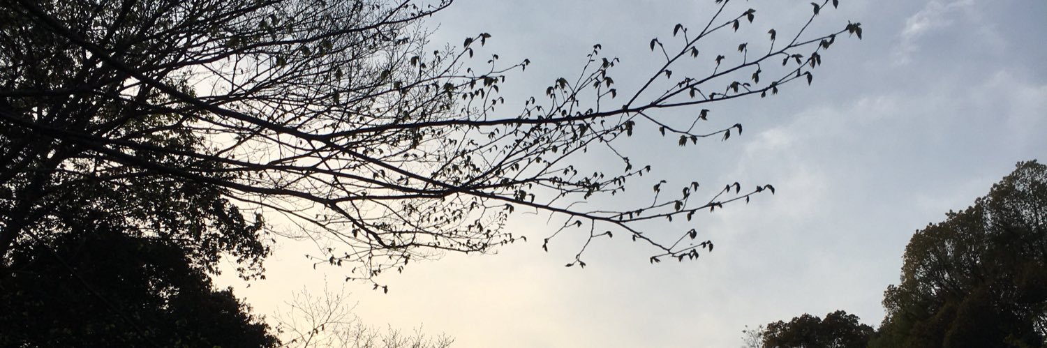 takakolog's profile banner image