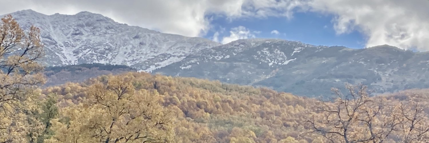 César Del Arco banner