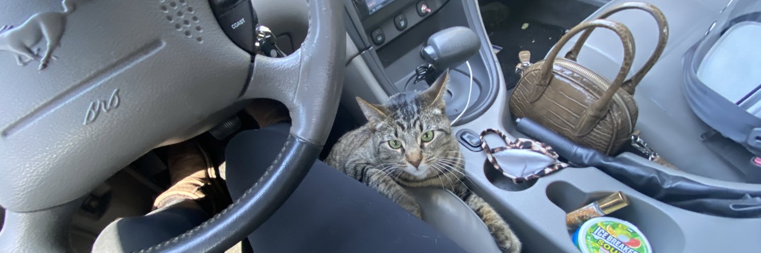 luciferperry's profile banner image