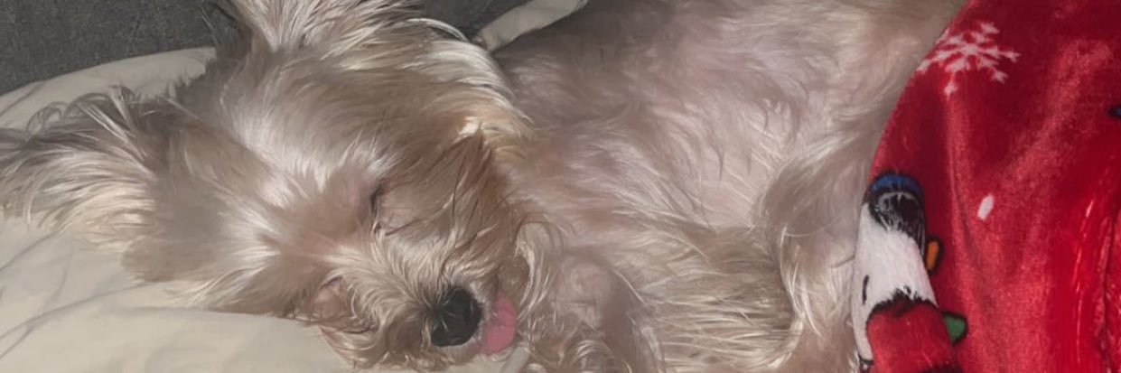 Brooke_C1's profile banner image